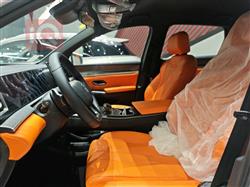 بي واي دي ‎سونغ برو DM-i